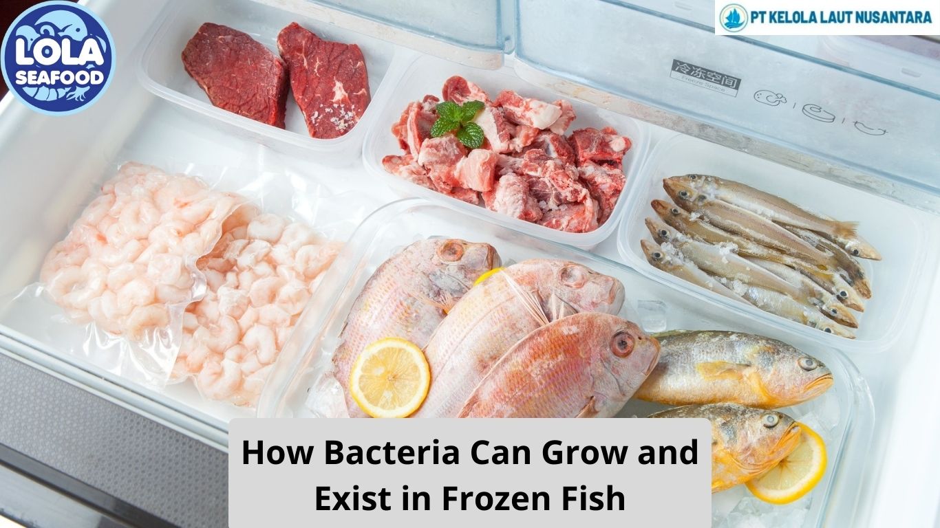 How Bacteria Can Grow and Exist in Frozen Fish